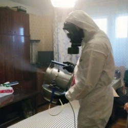 Дезинфекция от клопов в Западной Двине