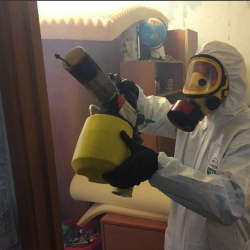 Уничтожение клопов в квартире. Западная Двина